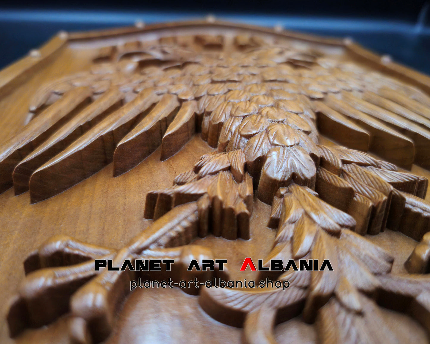 Mburoja e Shqiponjës së Ilirisë ,1010 ABCOO